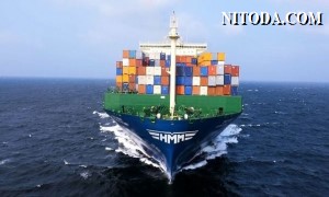 HMM (Hyundai Merchant Marine) - Hãng tàu container lớn nhất Hàn Quốc