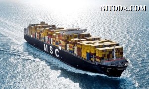 MSC chính thức trở thành hãng tàu container lớn nhất thế giới