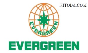 Evergreen Line (Evergreen Marine Corporation) - Hãng tàu container lớn nhất Đài loan