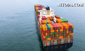 Giá cước container giao ngay giảm thấp hơn giá cước dài hạn trên tuyến Bắc Mỹ