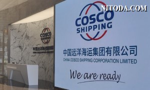 COSCO Shipping Lines - Hãng tàu container lớn nhất Trung Quốc