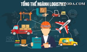 Ngành Logistics là gì và ngành Logistics học những gì?