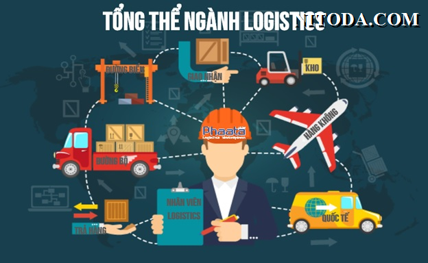 nganh-logistics-la-gi-nganh-logistics-hoc-nhung-gi