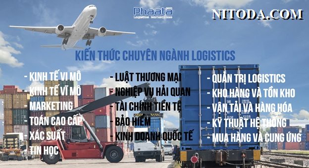 kien-thuc-chuyen-nganh-logistics