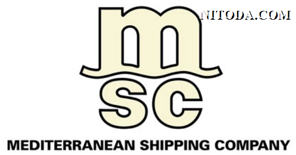 MSC-hang-tau-container