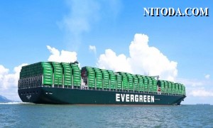 Evergreen kế hoạch đặt mua thêm 18.000 container mới