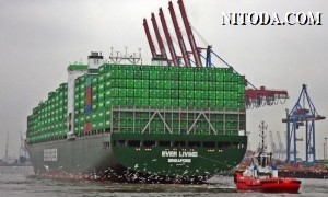 Evergreen đang đàm phán để bán và cho thuê lại tàu container cỡ lớn