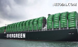 Evergreen đặt mua số lượng lớn thiết bị và container mới