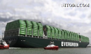 Hãng tàu Evergreen hy vọng sản lượng vận chuyển phục hồi trong nửa cuối năm