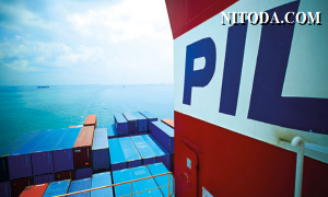 Hãng tàu PIL rút lui khỏi thị trường tuyến xuyên Thái Bình Dương để đẩy mạnh thị trường tuyến Bắc-Nam
