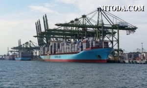 Maersk thỏa thuận thiết lập chuỗi cung ứng để cung cấp vắc xin Covid-19 trên toàn thế giới