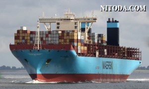 Damco sáp nhập vào Maersk đưa ra lời đe dọa đến các NVO và hãng vận tải yếu về công nghệ số