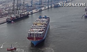 Maersk Line kỳ vọng kết quả kinh doanh quý 4 khả quan trong bối cảnh cắt giảm việc làm và thu nhập tăng vọt