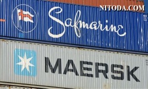 Tại sao Maersk loại bỏ hai thương hiệu Safmarine và Damco - và điều gì tiếp theo?