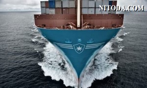 Maersk tích hợp thương hiệu Safmarine và Damco
