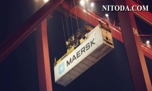 Maersk lo ngại Covid tái phát vì sản lượng sụt giảm đã ảnh hưởng đến doanh thu trong quý 2