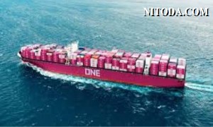 ONE, Maersk và MSC tạm dừng dịch vụ CAE: Trung Quốc-Úc do COVID-19