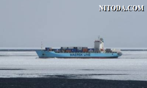 Hãng tàu Maersk: Virus Corona làm ảnh hưởng lớn đến thu nhập