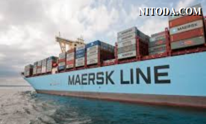 Hãng tàu MAERSK LINE thông báo tình hình vi rút Corona ở Trung Quốc