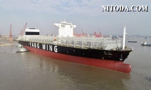 Yang Ming triển khai thêm tàu mới 11.000TEU trên tuyến xuyên Thái Bình Dương