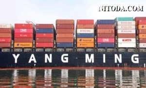 Yang Ming tăng cường hiện diện tại Châu Âu