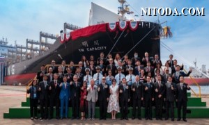 Yang Ming tăng cường dịch vụ nội Á với việc triển khai tàu mới