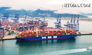 HMM: Tình trạng thiếu container khả năng tiếp tục kéo dài ít nhất trong quý 1