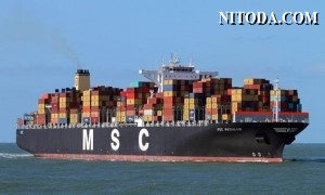 MSC chuẩn bị vượt qua Maersk ở vị trí đầu bảng xếp hạng