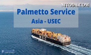 MSC ra mắt dịch vụ vận chuyển mới kết nối Châu Á với Bờ Đông Hoa Kỳ