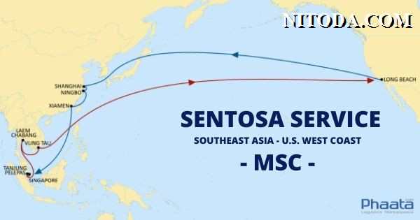 Sentosa-service-MSC