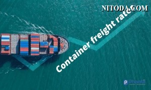 Lợi nhuận của các hãng tàu container có thể đạt đến 100 tỷ USD trong năm 2021