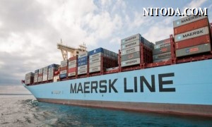 Maersk chuẩn bị tạm ngừng nhận đặt chỗ vận chuyển đến và từ Nga
