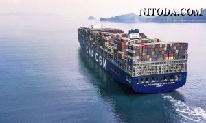 CMA CGM quyết định dừng tăng tất cả giá cước vận chuyển container ngắn hạn