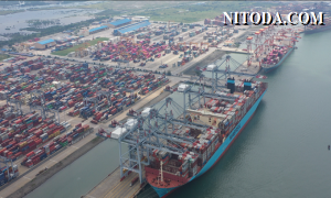 Đón chuyển dịch sản xuất từ Trung Quốc, chuỗi cung ứng container ở Việt Nam chịu áp lực lớn