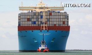 DHL ủng hộ quan điểm của Maersk về đàm phán hợp đồng trong mùa mới
