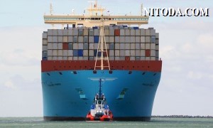 DHL ủng hộ quan điểm của Maersk về đàm phán hợp đồng trong mùa mới
