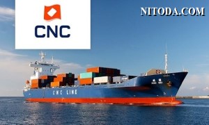 Hãng tàu CNC mở rộng các dịch vụ kết nối đến Việt Nam