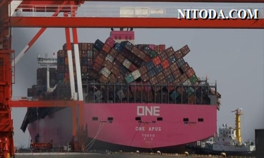 Tàu ONE Apus về đến Nhật Bản và cho thấy mức độ sụp đổ của hàng loạt ...