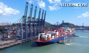 Sản lượng hàng hóa tại các cảng Panama tăng 13,7% trong nửa đầu năm 2020