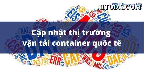 cước vận chuyển và cập nhật thi truong vận chuyển container tuần 16