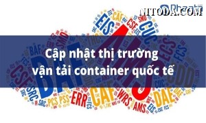 Thị trường vận chuyển và logistics quốc tế (cập nhật tuần 27/2021)