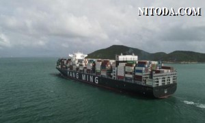 Liên minh THE Alliance điều chỉnh nhiều dịch vụ trên tuyến xuyên Thái Bình Dương