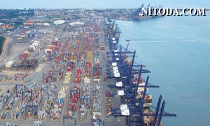 Cảng Felixstowe bị đình công càng làm cho chuỗi cung ứng thêm phức tạp hơn