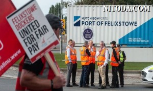 Đình công tại cảng Felixstowe có thể khiến nhu cầu vận chuyển hàng không tăng lên