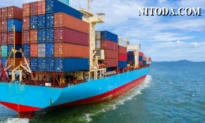 Giá cước vận chuyển container giảm mạnh đến 58% kể từ tháng 1