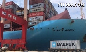 Độ tin cậy của lịch trình vận tải container tiếp tục được cải thiện, Maersk vẫn đứng đầu