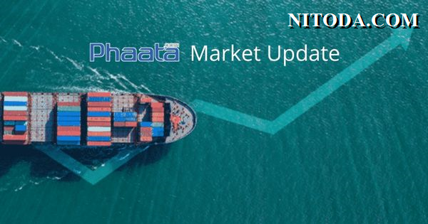 Nitoda Market Update - Shipping & Logistics