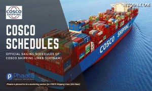 COSCO cập nhật lịch tàu Việt Nam-Châu Âu trong Tháng 1-2023