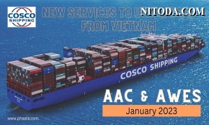 Hãng tàu COSCO Shipping công bố lịch tàu dịch vụ AAC và AWES mới từ Việt Nam đi Mỹ