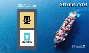 Maersk và MSC sẽ chấm dứt Liên minh 2M từ năm 2025